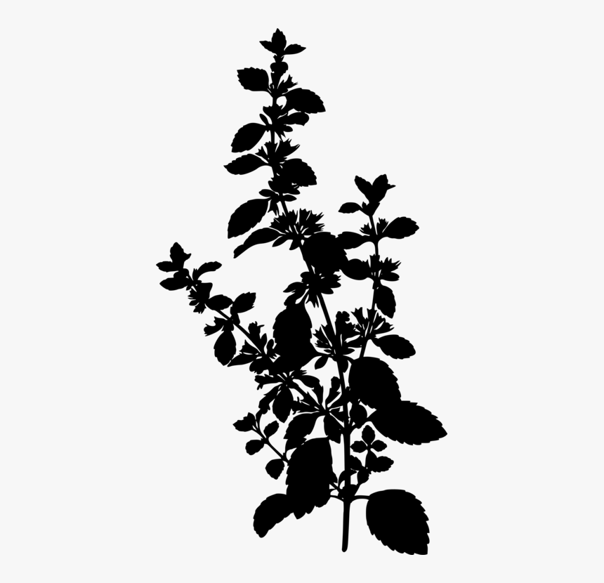 Lemon Balm Silhouette, HD Png Download