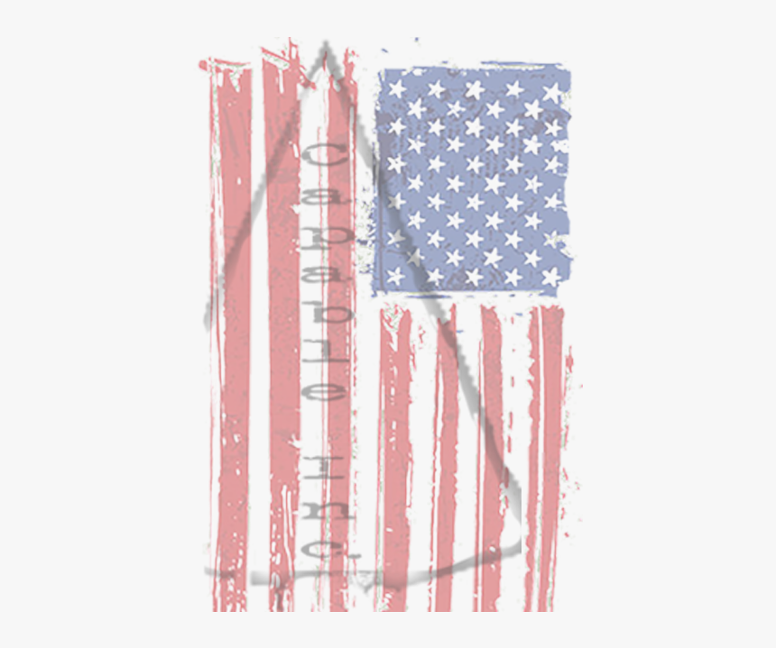 Green Day American Idiot Flag, HD Png Download