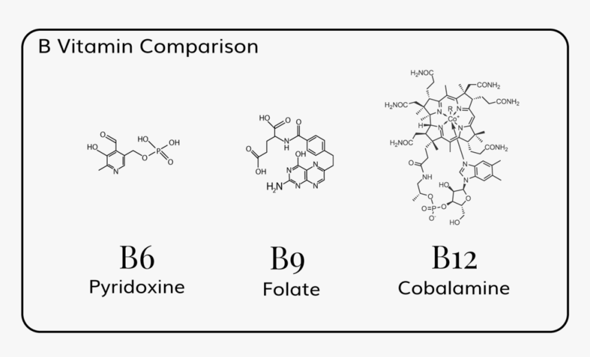Vitamin B Comparison - Chemical Structure Of Vitamin B, HD Png Download