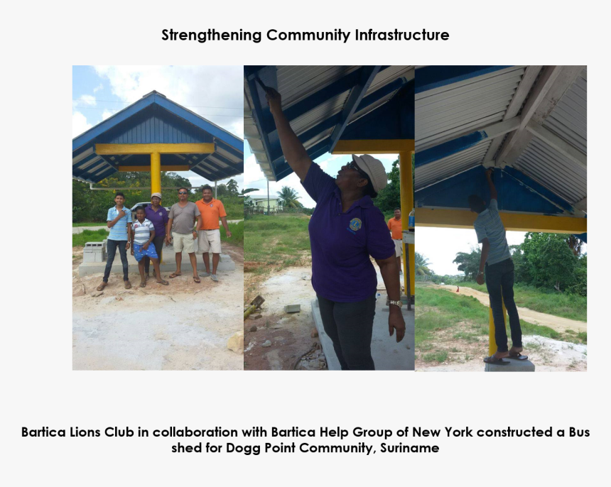 Tree, HD Png Download