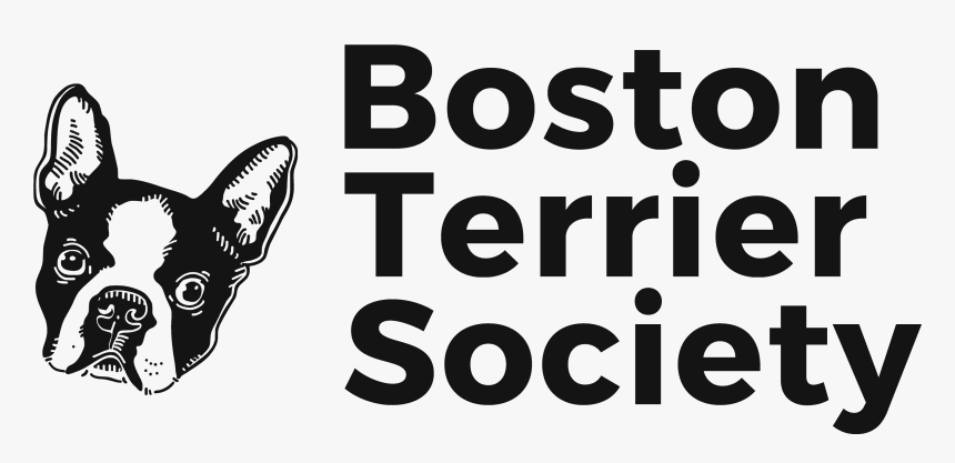 Boston Terrier, HD Png Download