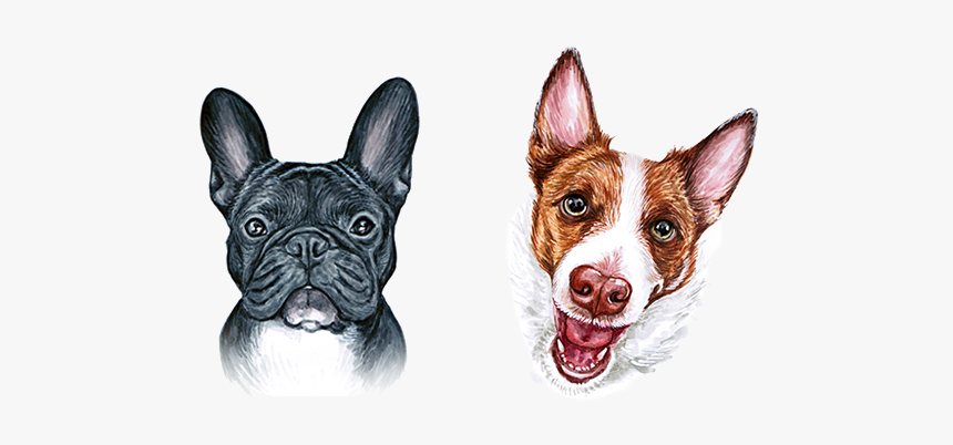 Boston Terrier French Bulldog Dog Breed - French Bulldog, HD Png Download