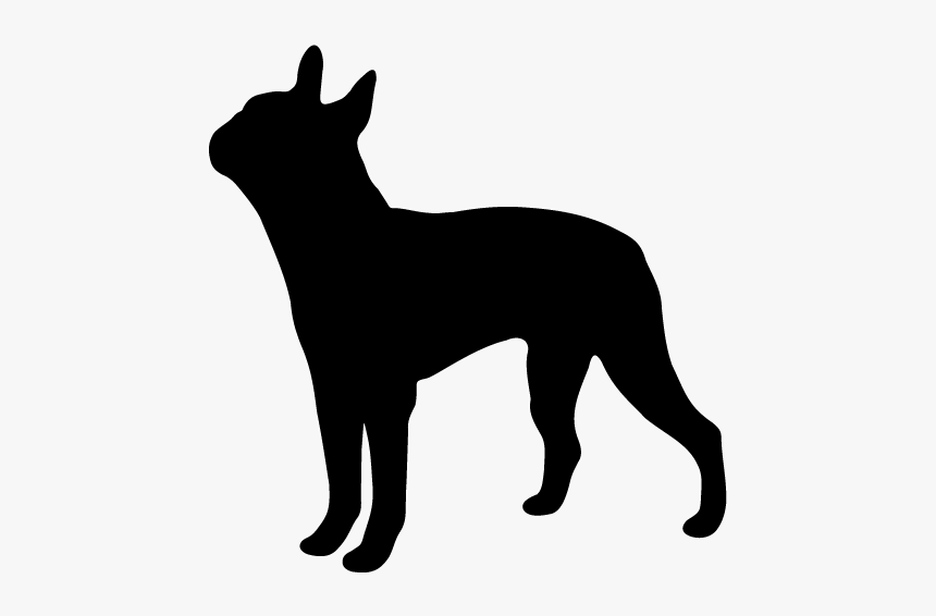Boston Terrier Silhouette Clipart Free Clip Art Image - Boston Terrier Silhouette Png, Transparent Png