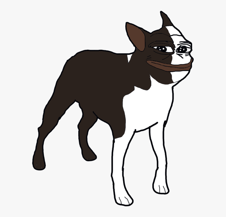 Boston Terrier Pepe, HD Png Download