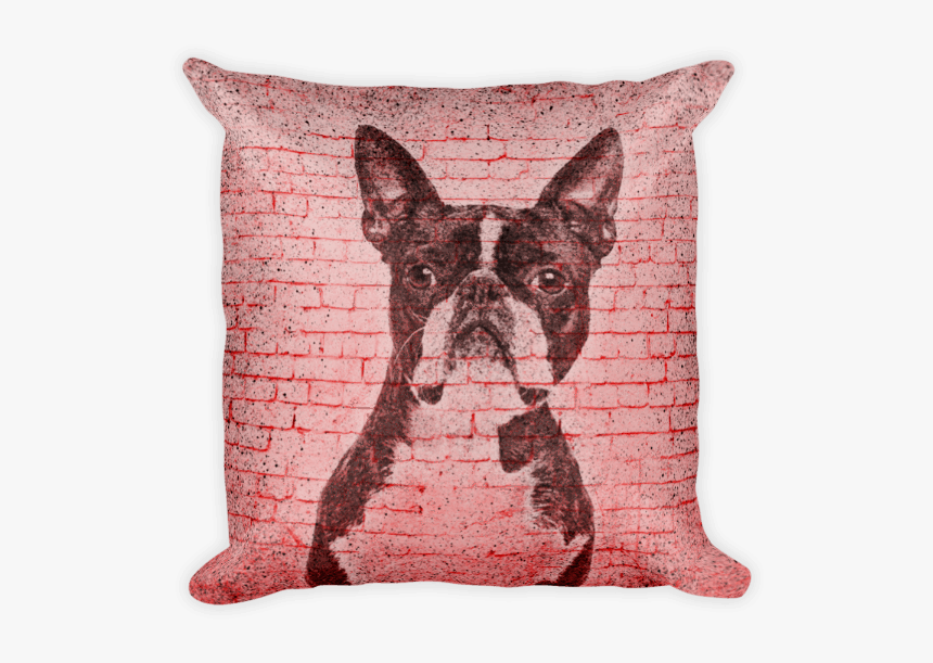 Boston Terrier, HD Png Download
