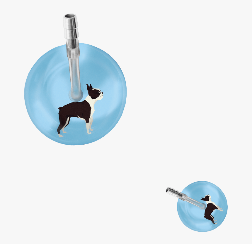 Dog Catches Something, HD Png Download