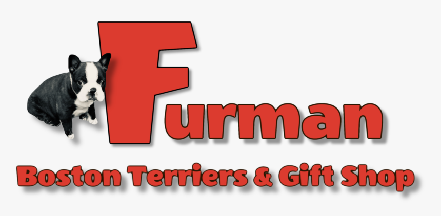 French Bulldog, HD Png Download