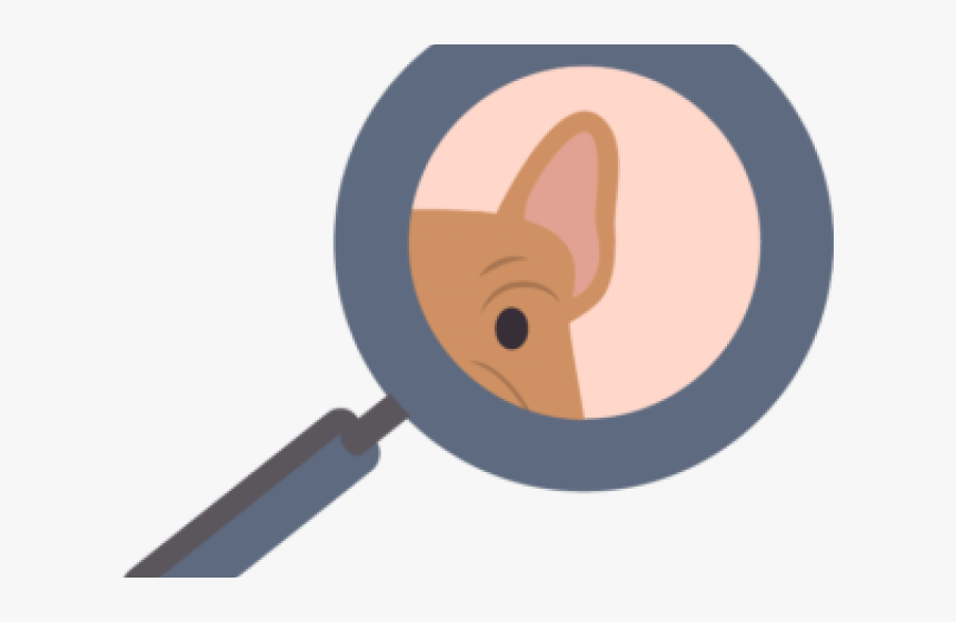 Boston Terrier Clipart Head - Cartoon, HD Png Download