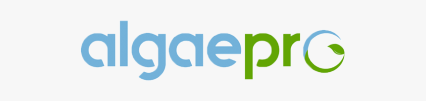 Algae - Aceproject, HD Png Download