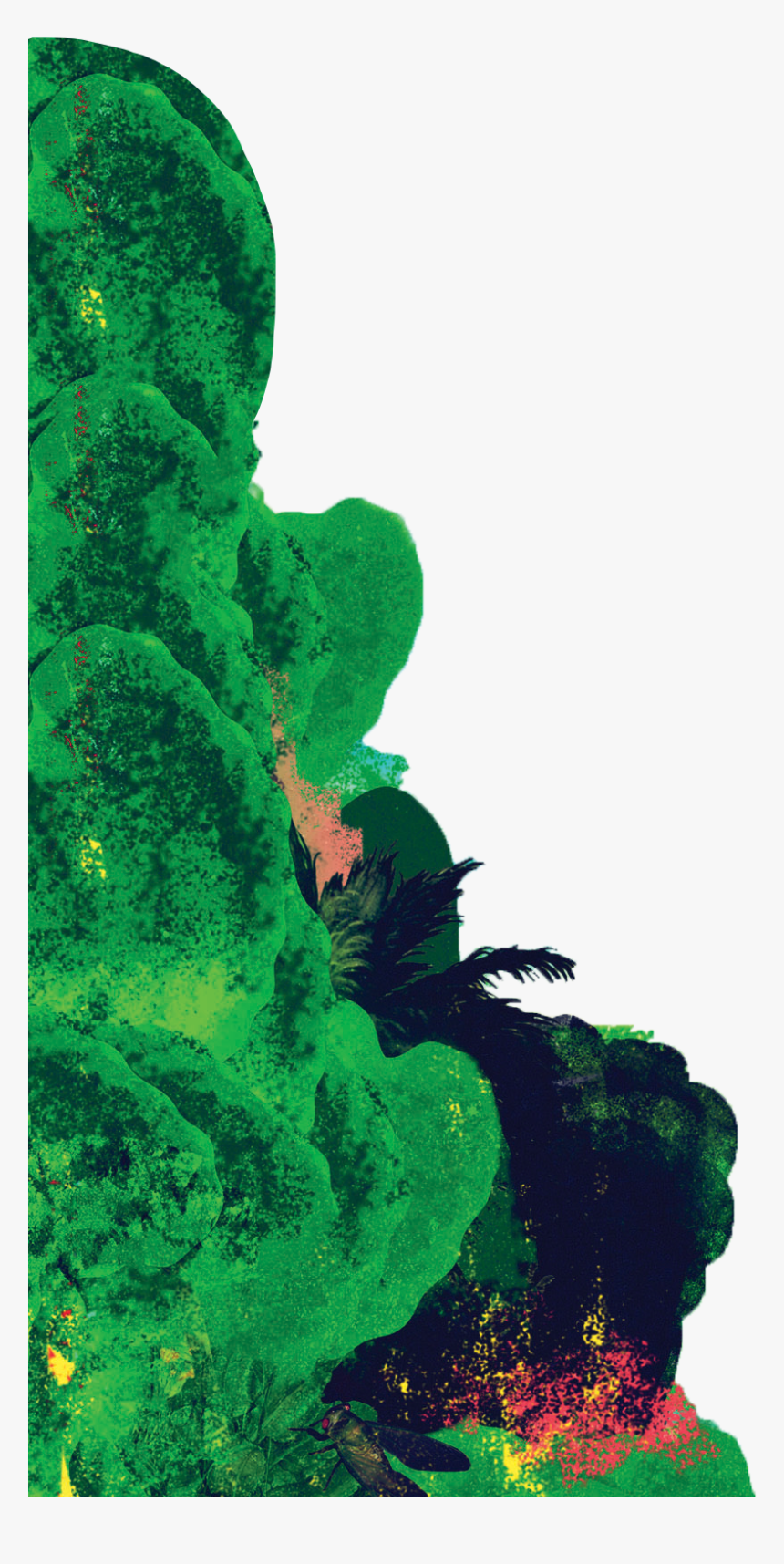 Meet The Band - Tree, HD Png Download