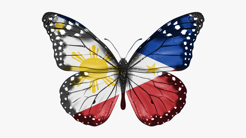 Reflectional Symmetry In Real Life, HD Png Download