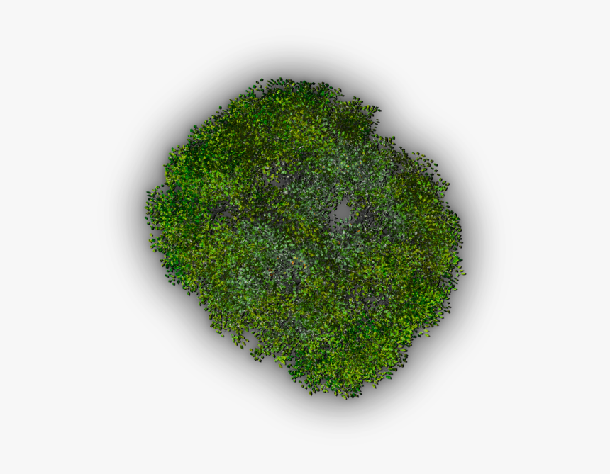 Grass, HD Png Download