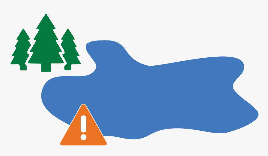 Cyanobacteria - Christmas Tree, HD Png Download