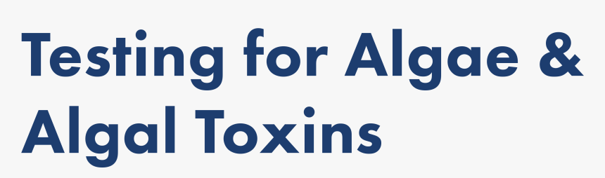 Testing For Algae And Algal Toxins - Printing, HD Png Download