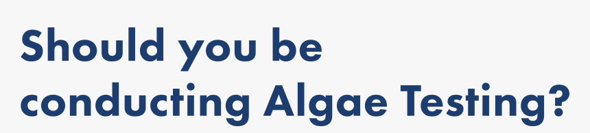 Should You Be Conducting Algae Testing - Parallel, HD Png Download