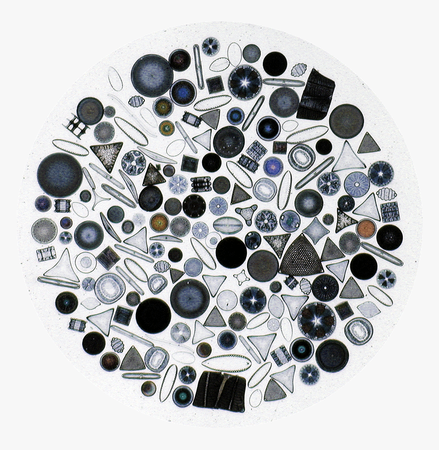 Diatomaceous Earth, HD Png Download