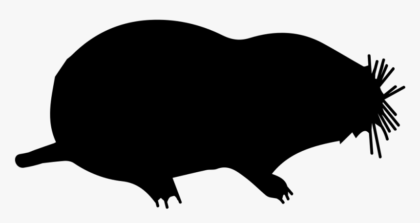Mole Mammal Animal Shape - Mammal, HD Png Download