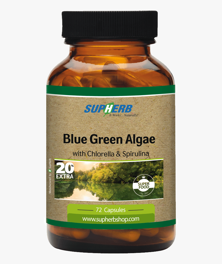 Blue Green Algae - Spirulina Supherb, HD Png Download