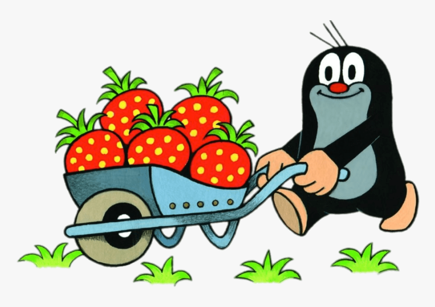 Little Mole Collecting Strawberries In A Wheelbarrow - Mole, HD Png Download