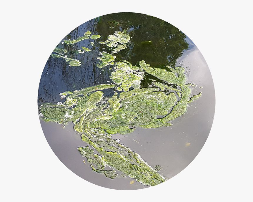 Earth, HD Png Download