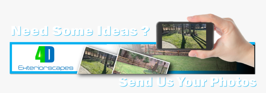 Picture - Grass, HD Png Download