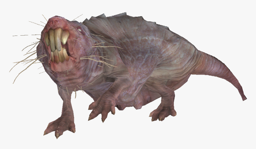 Encmolerat04 - Mole Rat From Fallout, HD Png Download