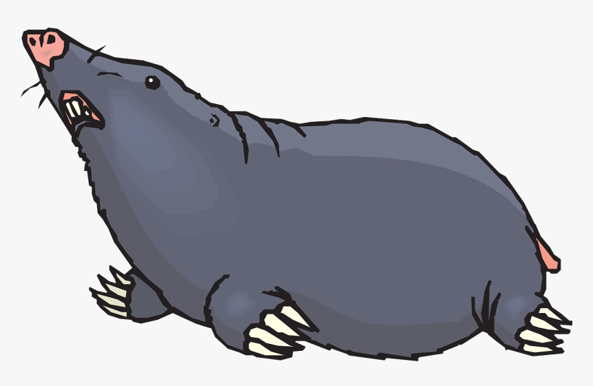 Ground, Looking, Animal, Claws, Blind, Mole - Mole Clipart, HD Png Download