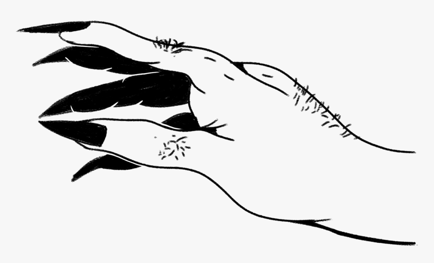 Humpback Whale, HD Png Download