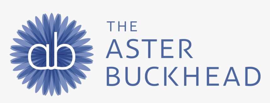 Transparent Aster Png - Illustration, Png Download