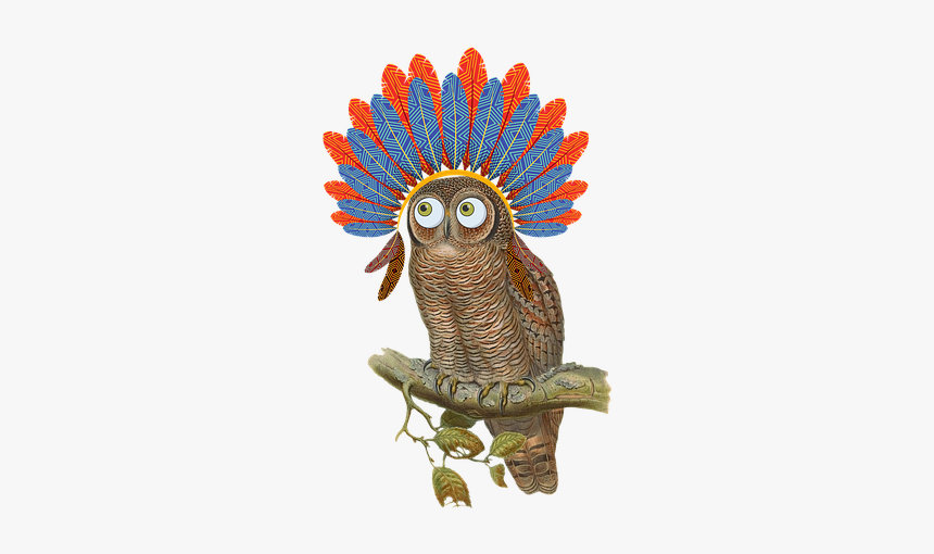 Owl, Vintage, Bird, Nature, Composing, Headdress - Owl, HD Png Download