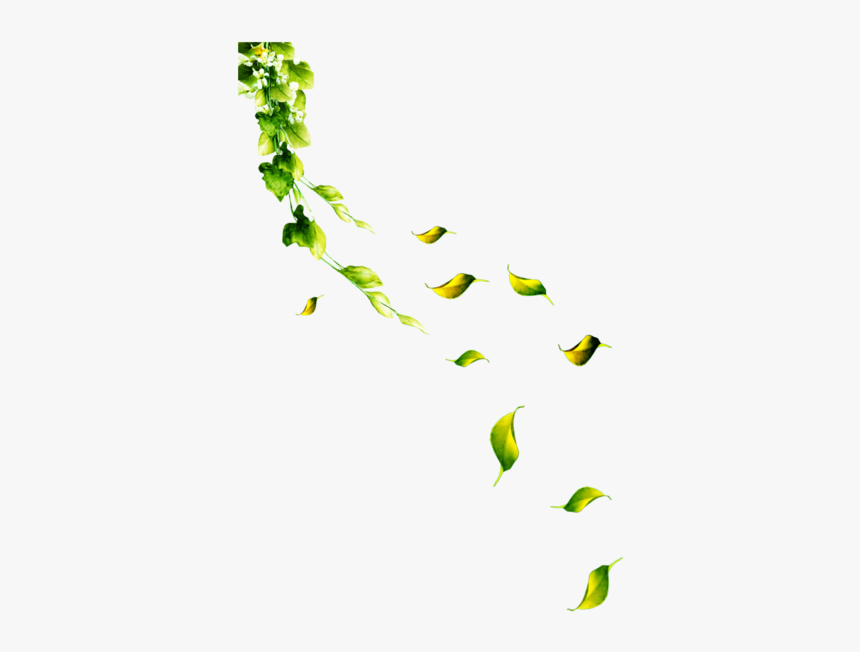 Petal Leaf Flower - 落叶 素材, HD Png Download
