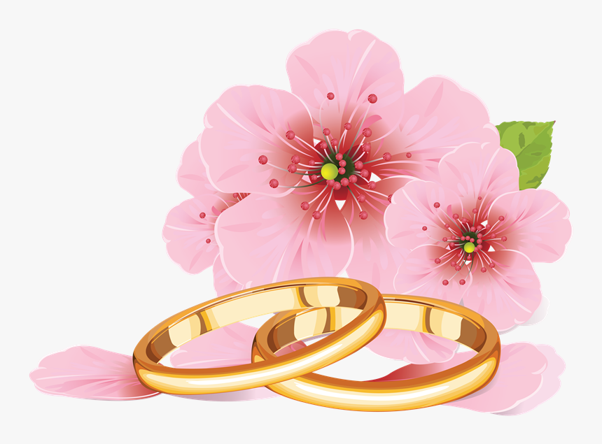 Palomas Con Anillos De Boda Png - Cherry Blossom Flower Drawing, Transparent Png