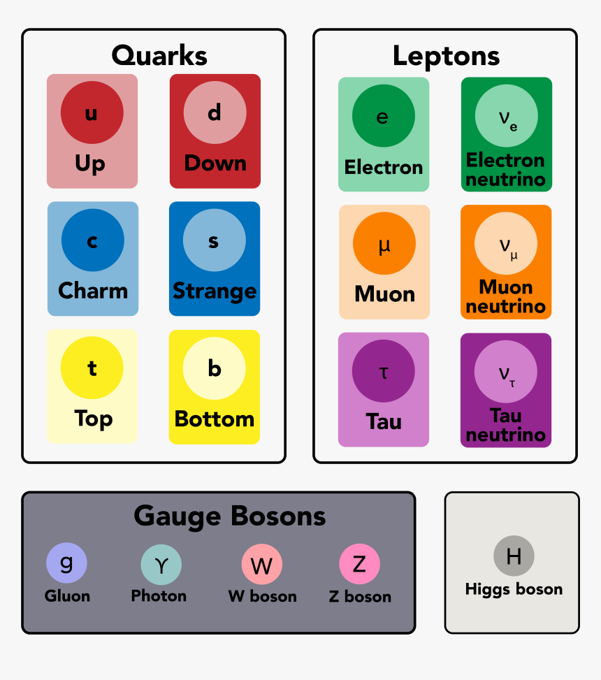 Fundamental Particles, HD Png Download