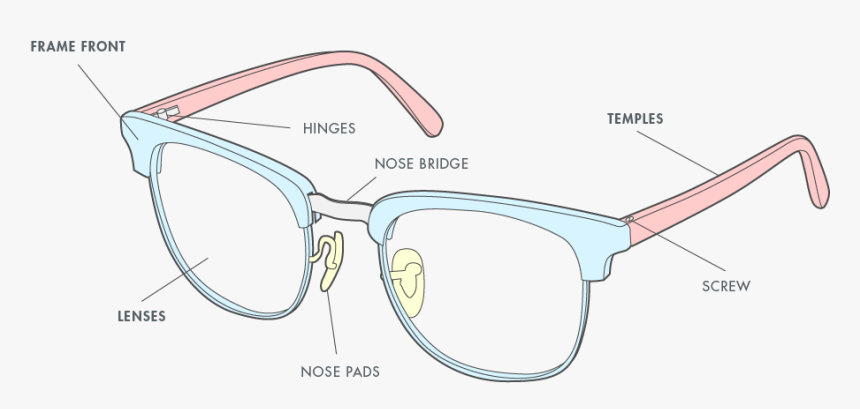 Parts Of Specs, HD Png Download