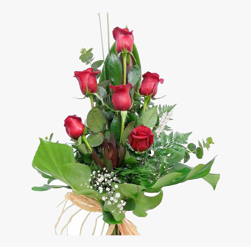 6 Rosas Rojas - Garden Roses, HD Png Download