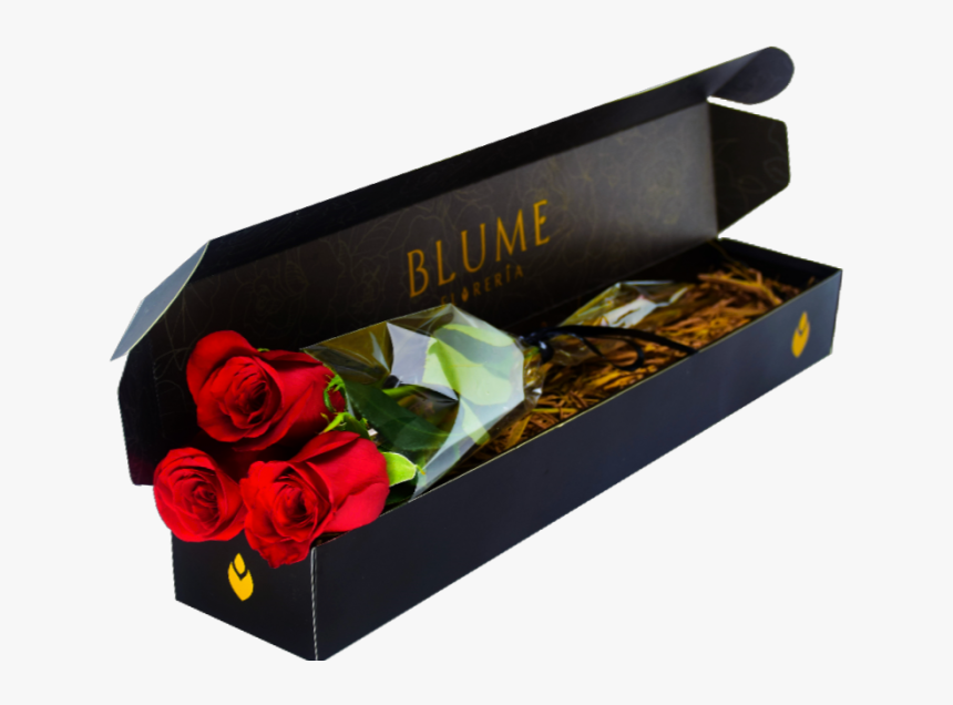 Rosas Rojas Png, Transparent Png