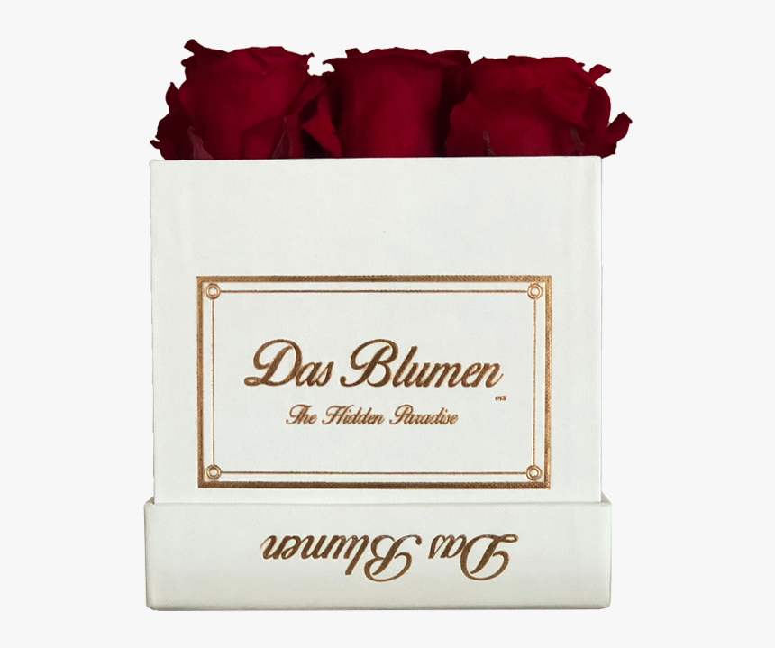 Garden Roses, HD Png Download