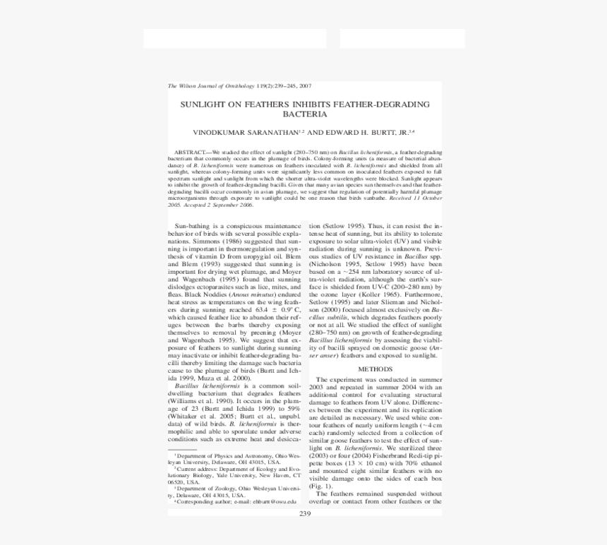 Folio Fourteen From Burchard Of Sion's De Locis Ac, HD Png Download