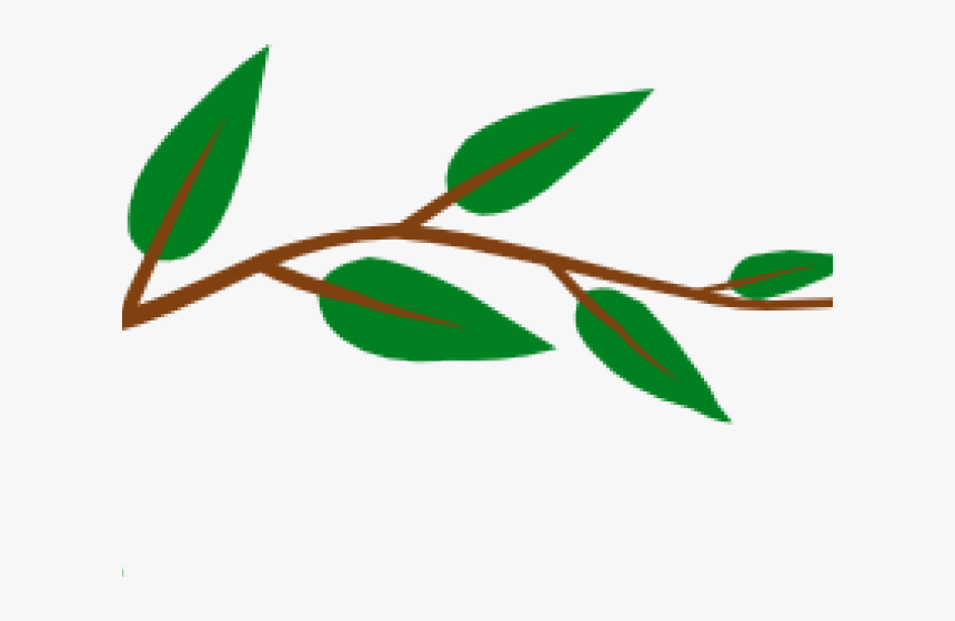 Transparent Vine Clip Art, HD Png Download