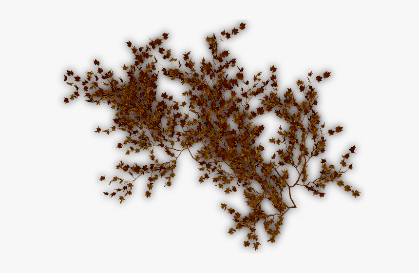 Textura Enredadera Png, Transparent Png