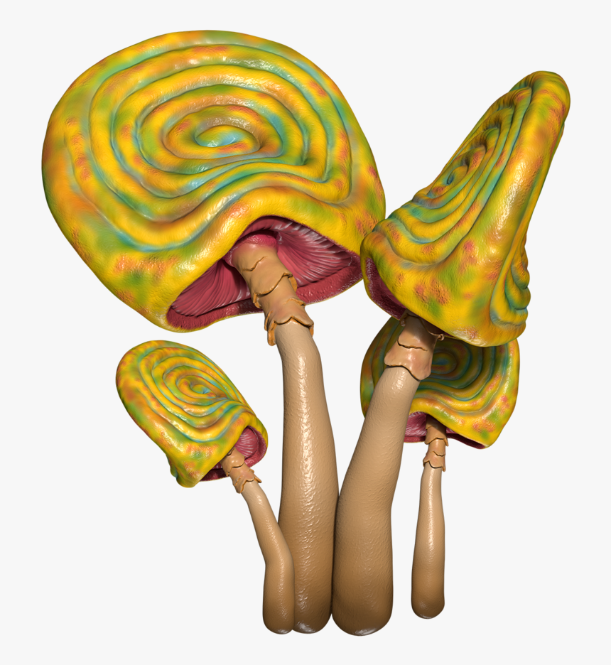 Poor Man S Lollipop, HD Png Download