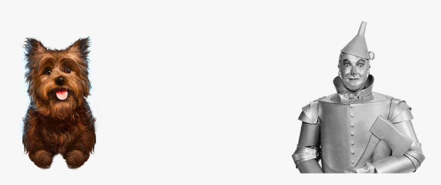 Spice Png, Transparent Png