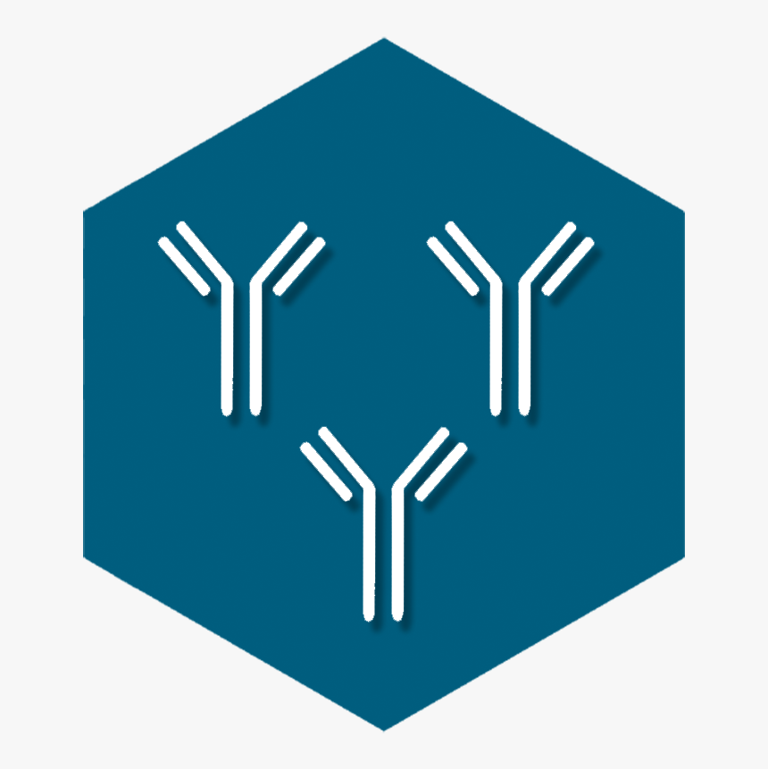 Graphic Design Clipart , Png Download, Transparent Png