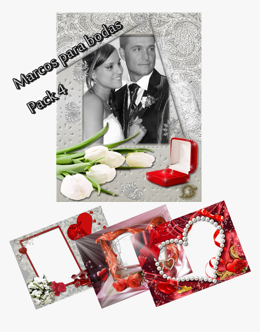 Rose, HD Png Download