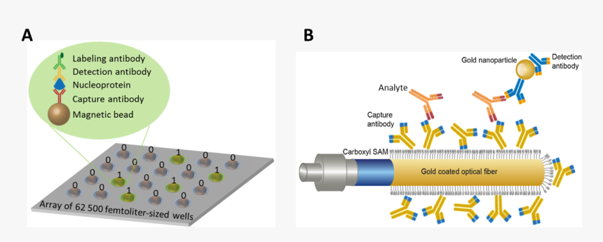 Logo - Gold Fiber Fo Spr, HD Png Download