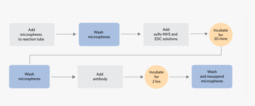 Diagram, HD Png Download