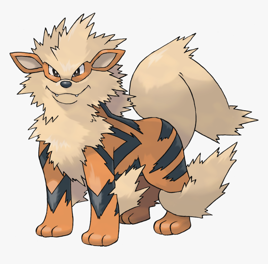 Image Result For Arcanine Png - Pokemon Growlithe Evolution, Transparent Png
