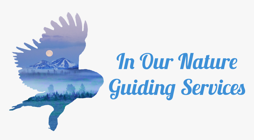 Back Home - Bird, HD Png Download