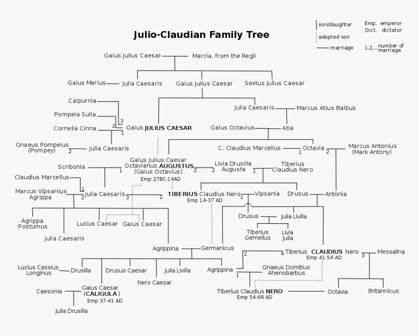 Julioclaudian - Svg - Julio Claudian Family Tree, HD Png Download