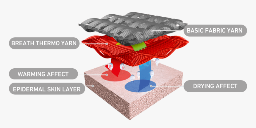 Breath Thermo Cutaway Graphic - 吸着 汗 水蒸気 水, HD Png Download